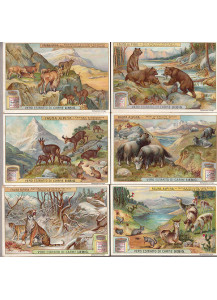1909 - Liebig Sang. 958 ITA Fauna Alpina 